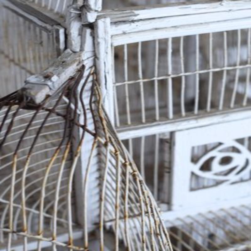 Grande gabbia per uccelli, XIX secolo in vendita 3