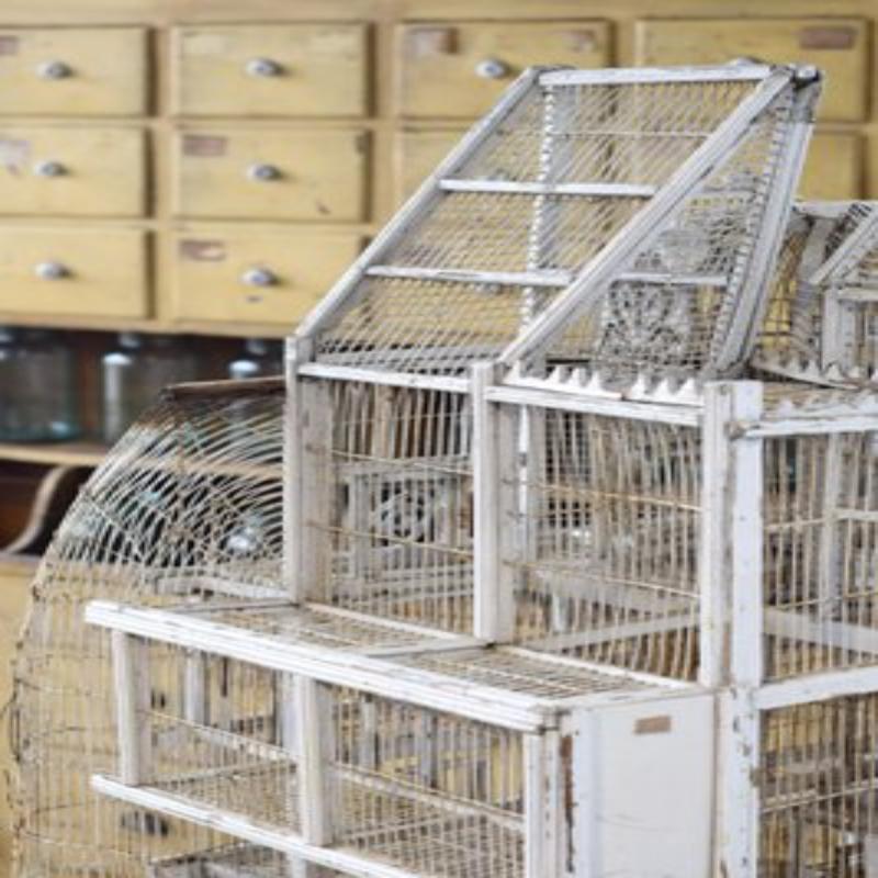 Grande gabbia per uccelli, XIX secolo in vendita 4