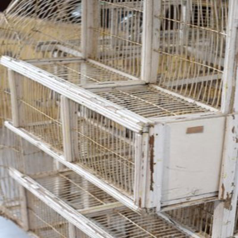 Grande gabbia per uccelli, XIX secolo in vendita 9