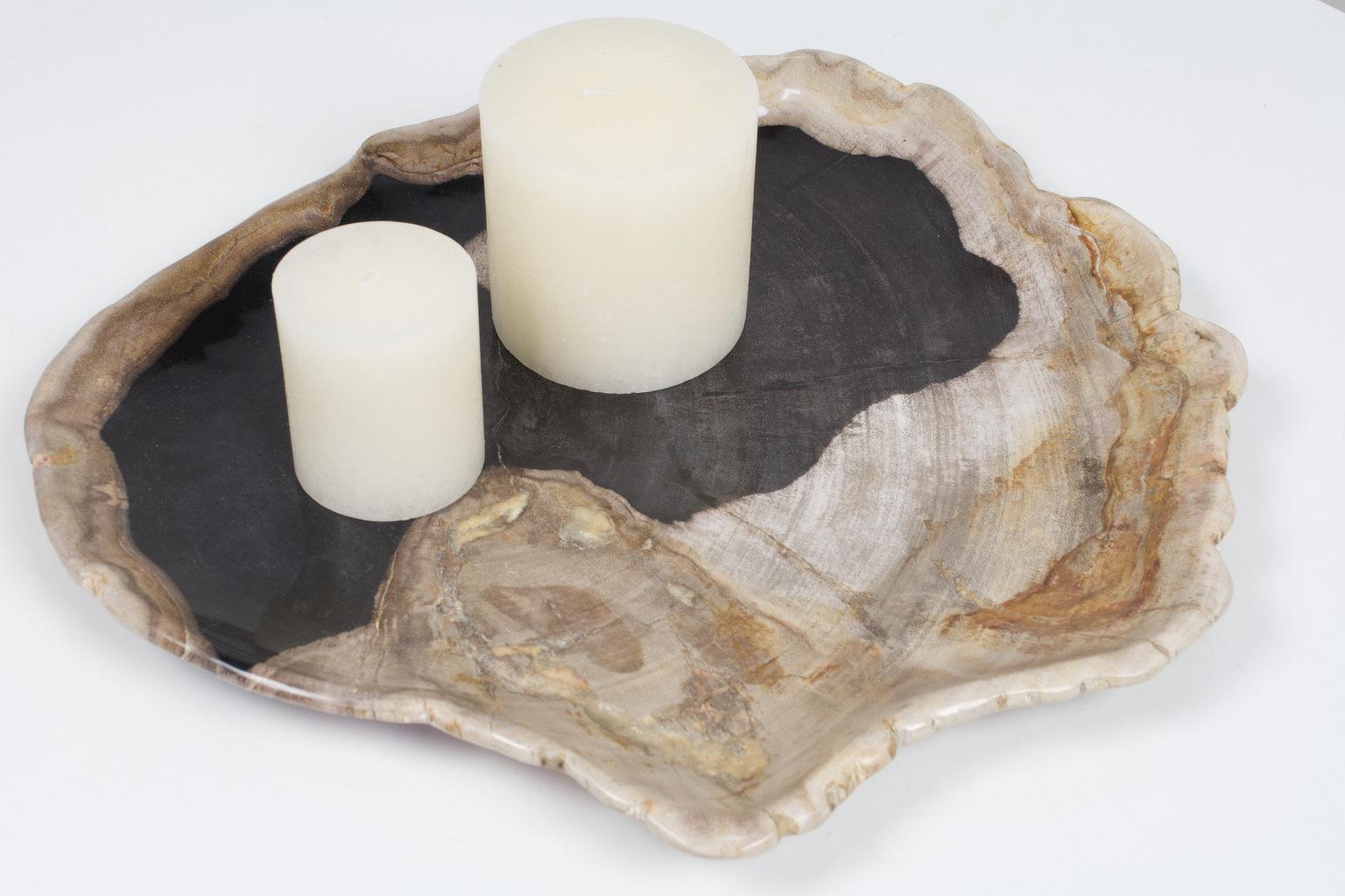 This large petrified wooden platter is an item of ancient organic origin. The material is smooth sanded on both sides. The black and beige tones of the object are a natural result of the organic proces of petrification. The listed item is of organic