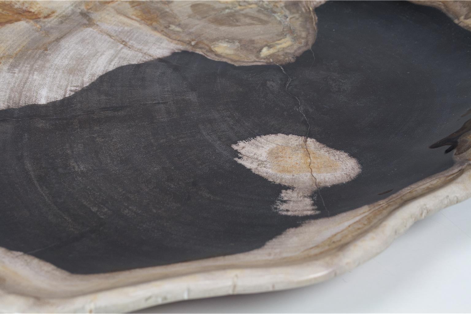 Indonesian Large Black and Beige Petrified Wooden Platter, Accessory of Organic Origin For Sale