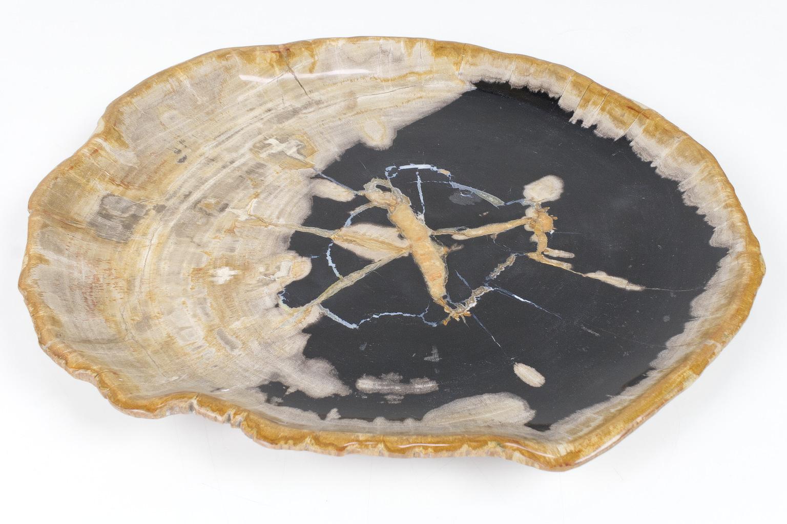 Indonesian Large Black and Beige Petrified Wooden Platter, Accessory of Organic Origin For Sale