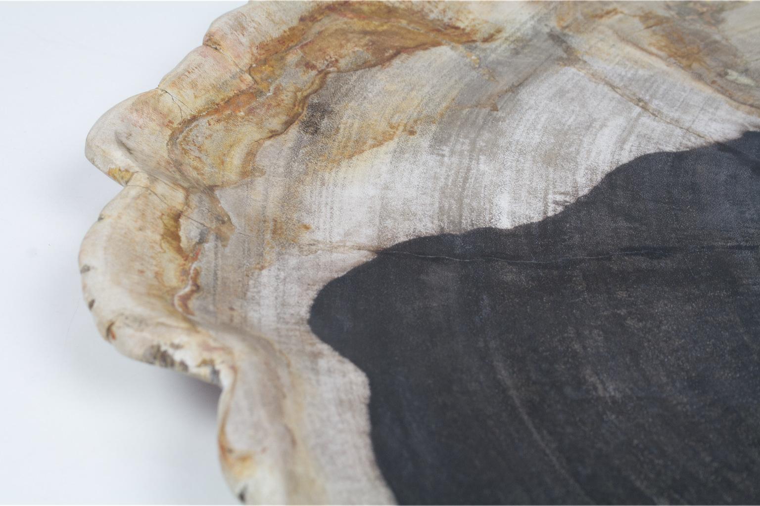 18th Century and Earlier Large Black and Beige Petrified Wooden Platter, Accessory of Organic Origin For Sale