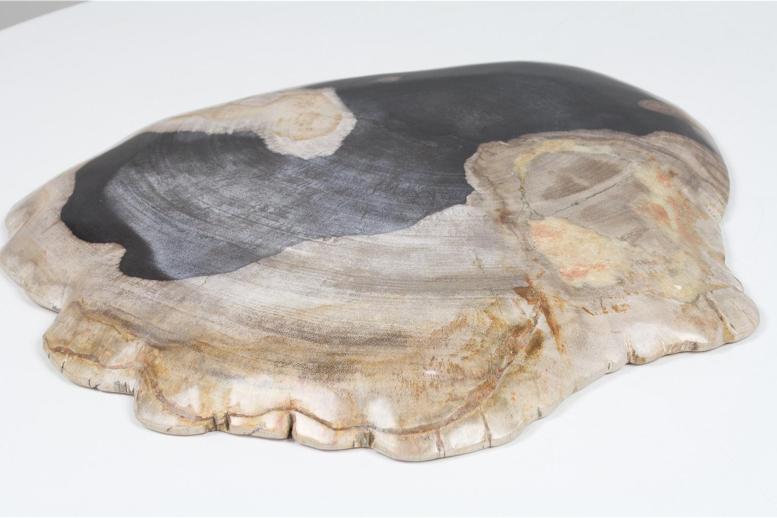 Stone Large Black and Beige Petrified Wooden Platter, Accessory of Organic Origin For Sale