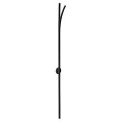 Large Black Cana Wall Lamp by Wentz