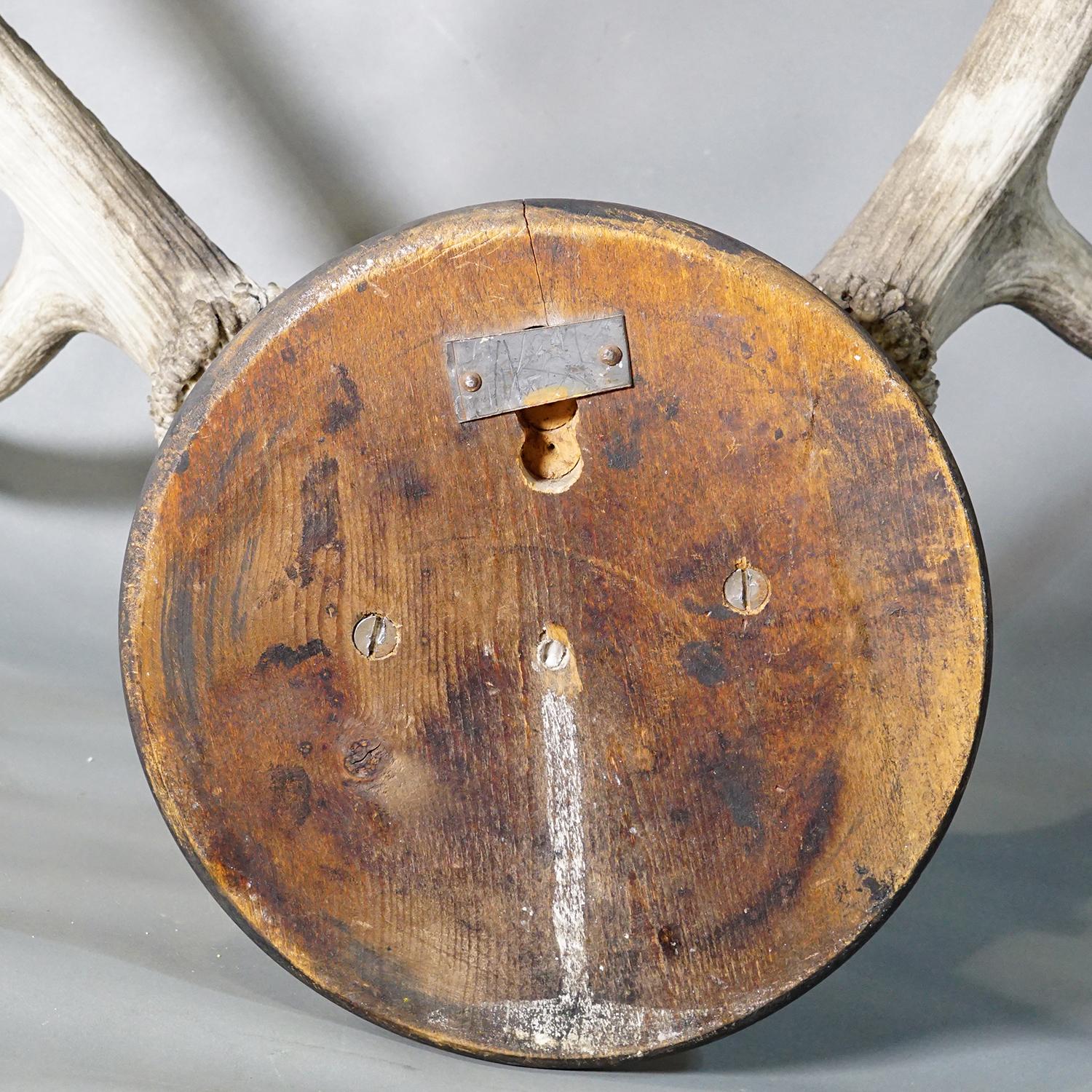 Große Schwarzwald 10 Pointer Rotwild Trophäe auf Holztafel 1902 im Zustand „Gut“ im Angebot in Berghuelen, DE