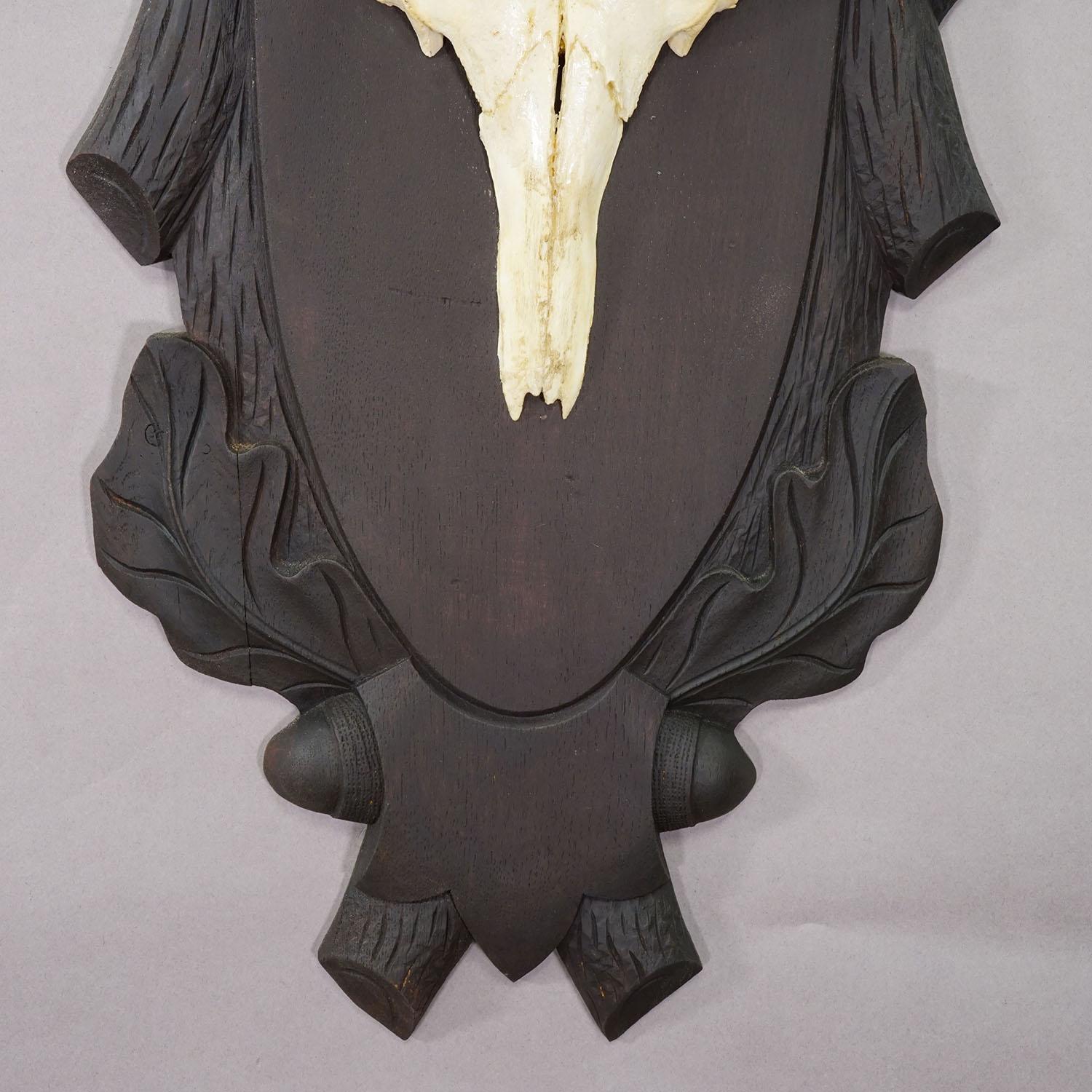 Große Black Forest 8 Pointer Rotwildtrophäe auf geschnitzter Plakette - Deutschland ca. 1940 (Mitte des 20. Jahrhunderts) im Angebot