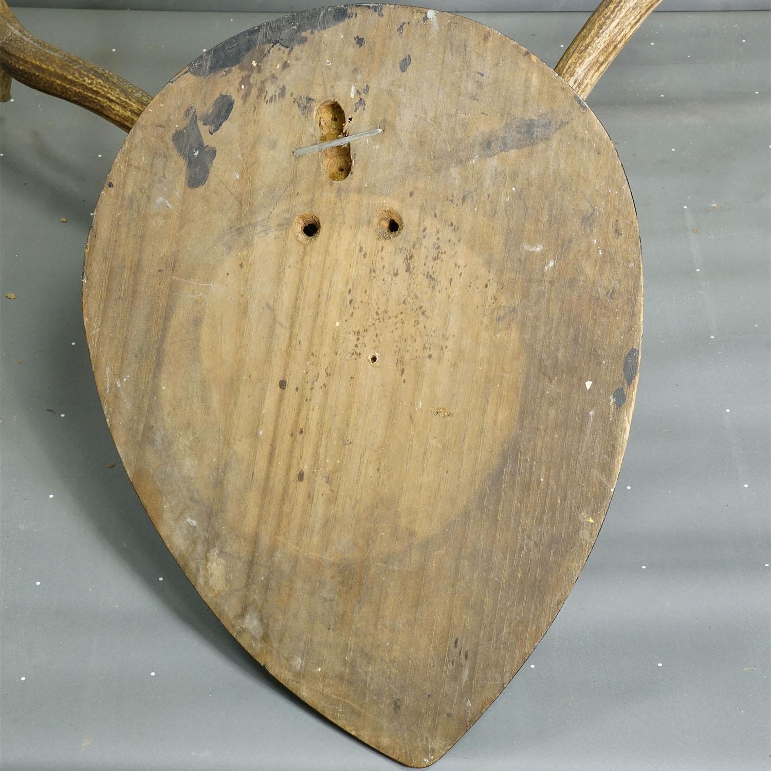 Große Black Forest Antike Hirsch Trophäe auf Holzplatte, Deutschland 1900s (Geweih) im Angebot