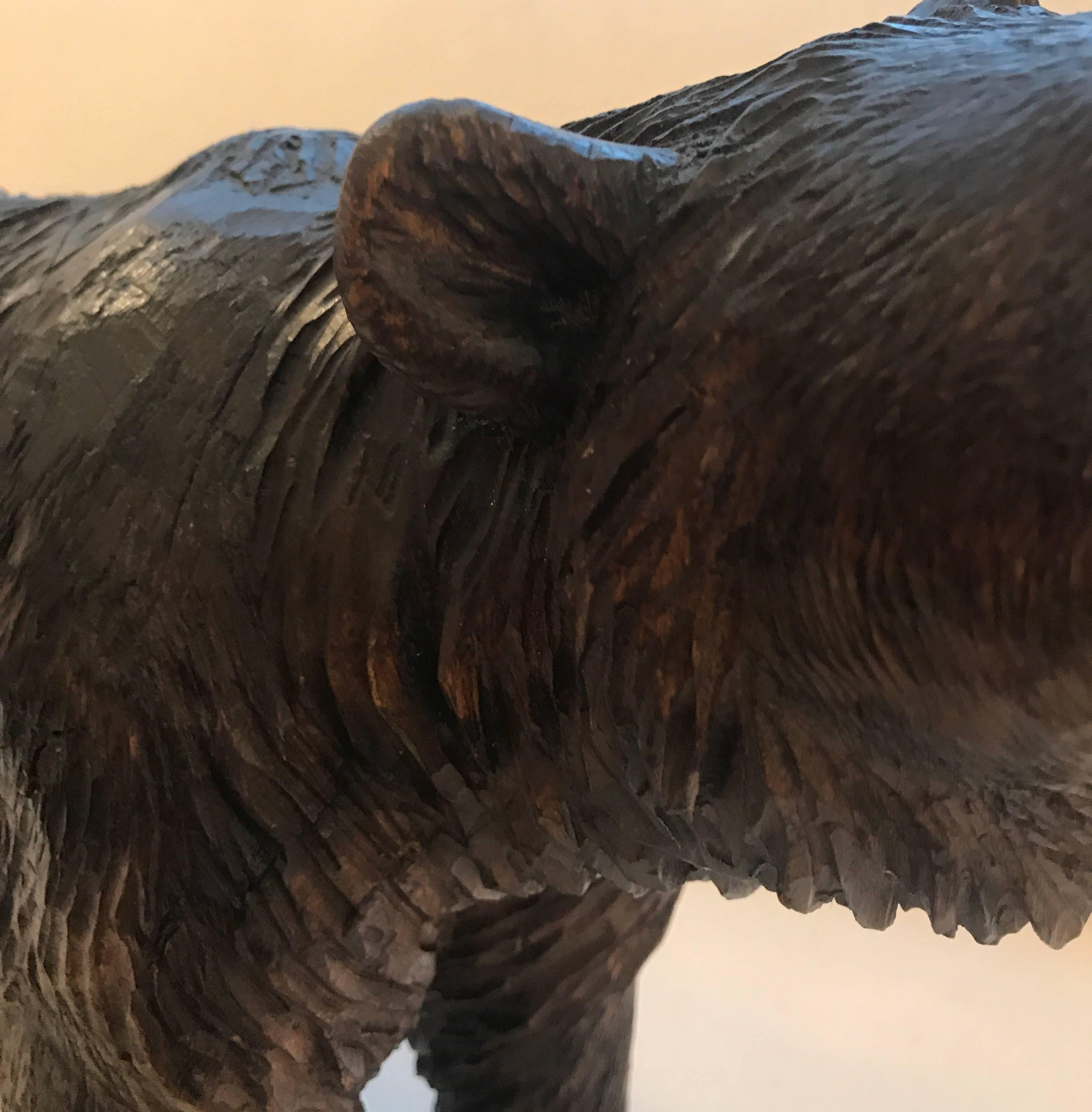 Large Black Forest Carved Bear 2