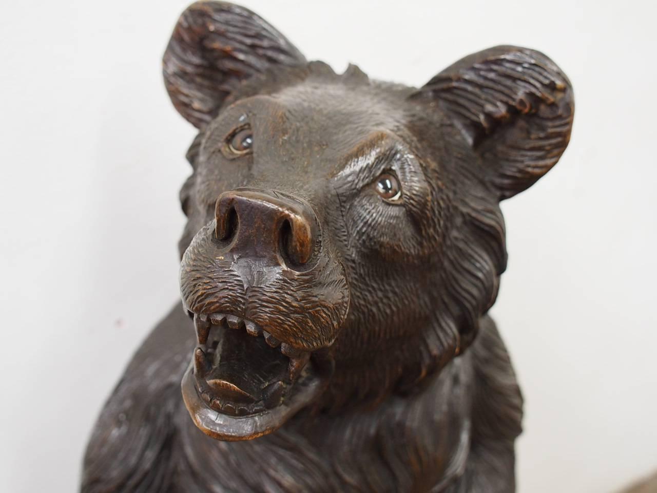 Late 19th Century Large Black Forest Carved Bear Stick Stand, circa 1880
