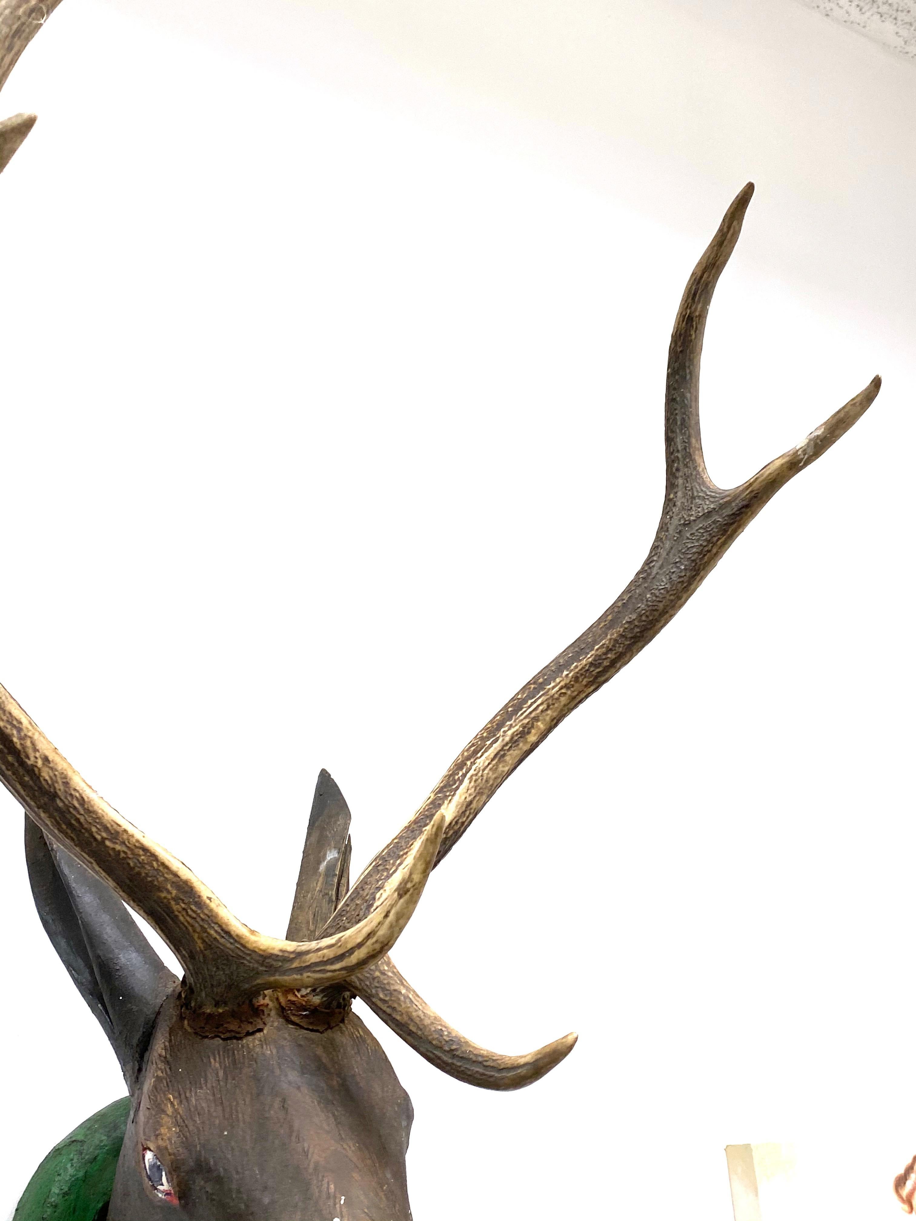 Large Black Forest Carved Wood Deer Head with Real Antlers, 19th Century 2