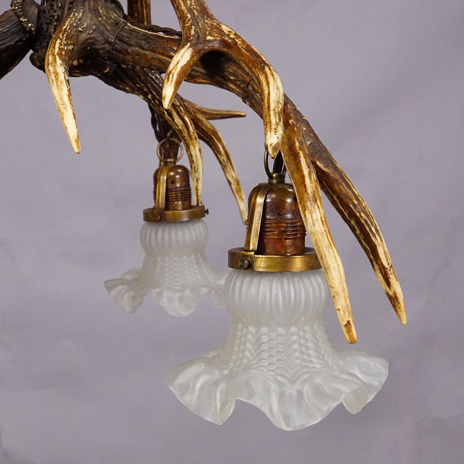 Grande lampada da soffitto Black Forest con corna di cervo In condizioni buone in vendita a Berghuelen, DE