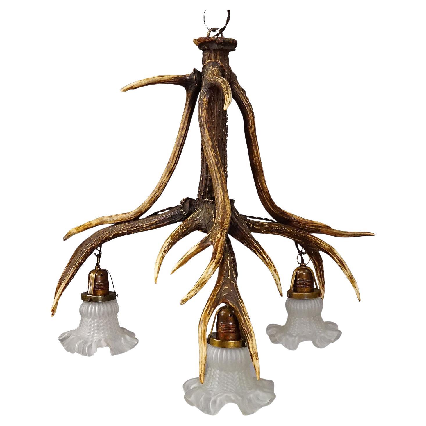 Large Black Forest Ceiling Lamp with Deer Antlers