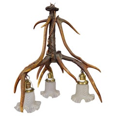 Large Black Forest Ceiling Lamp with Deer Antlers