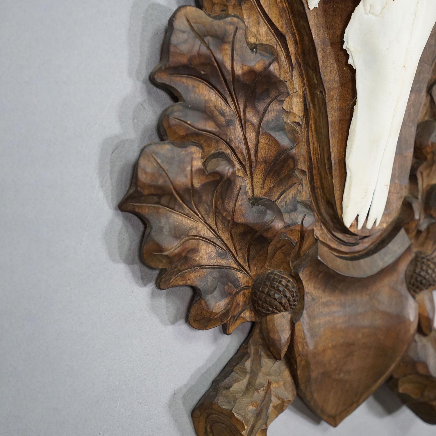 Early 20th Century Large Black Forest Deer Trophy on Carved Plaque - Germany circa 1900 For Sale