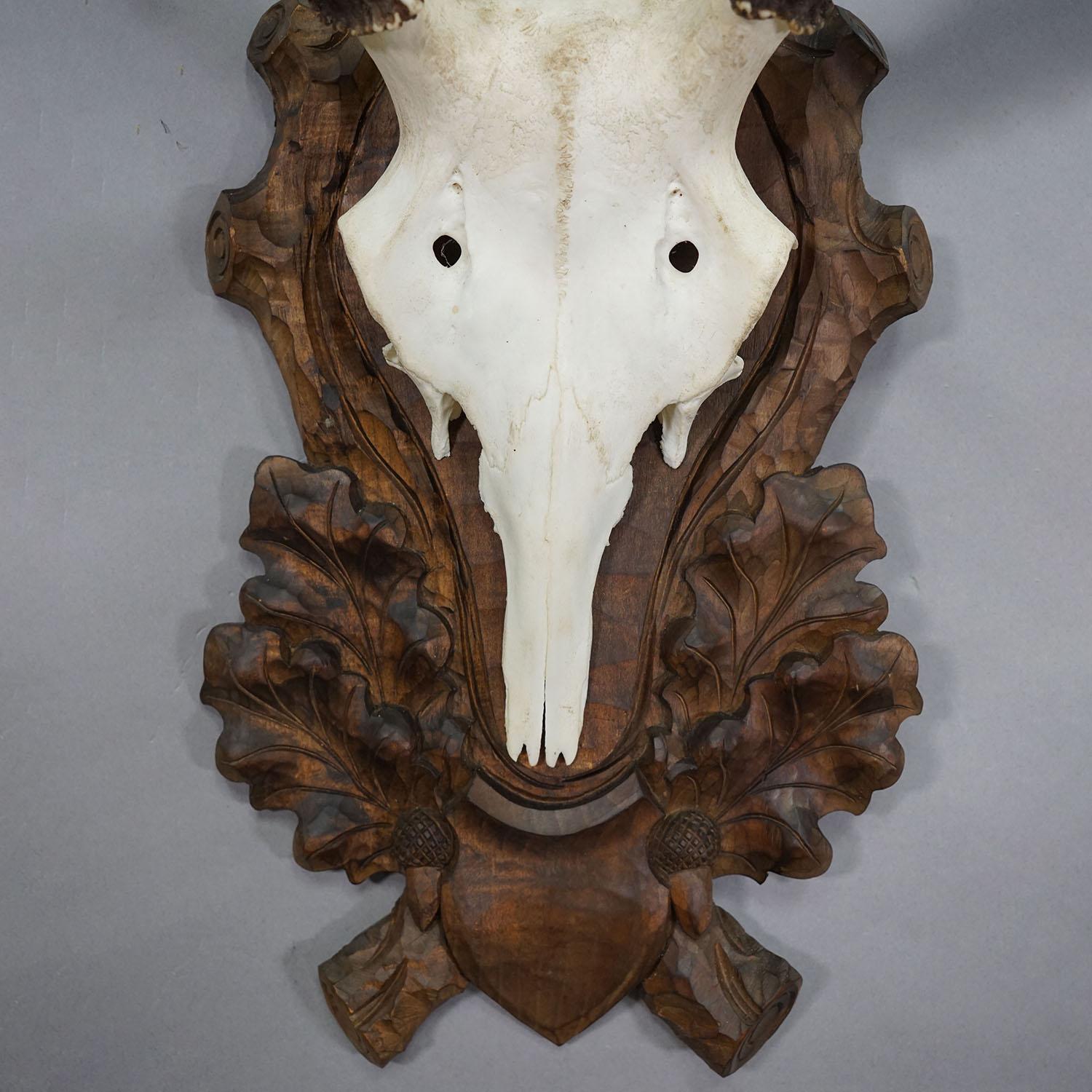 Antler Large Black Forest Deer Trophy on Carved Plaque - Germany circa 1900 For Sale