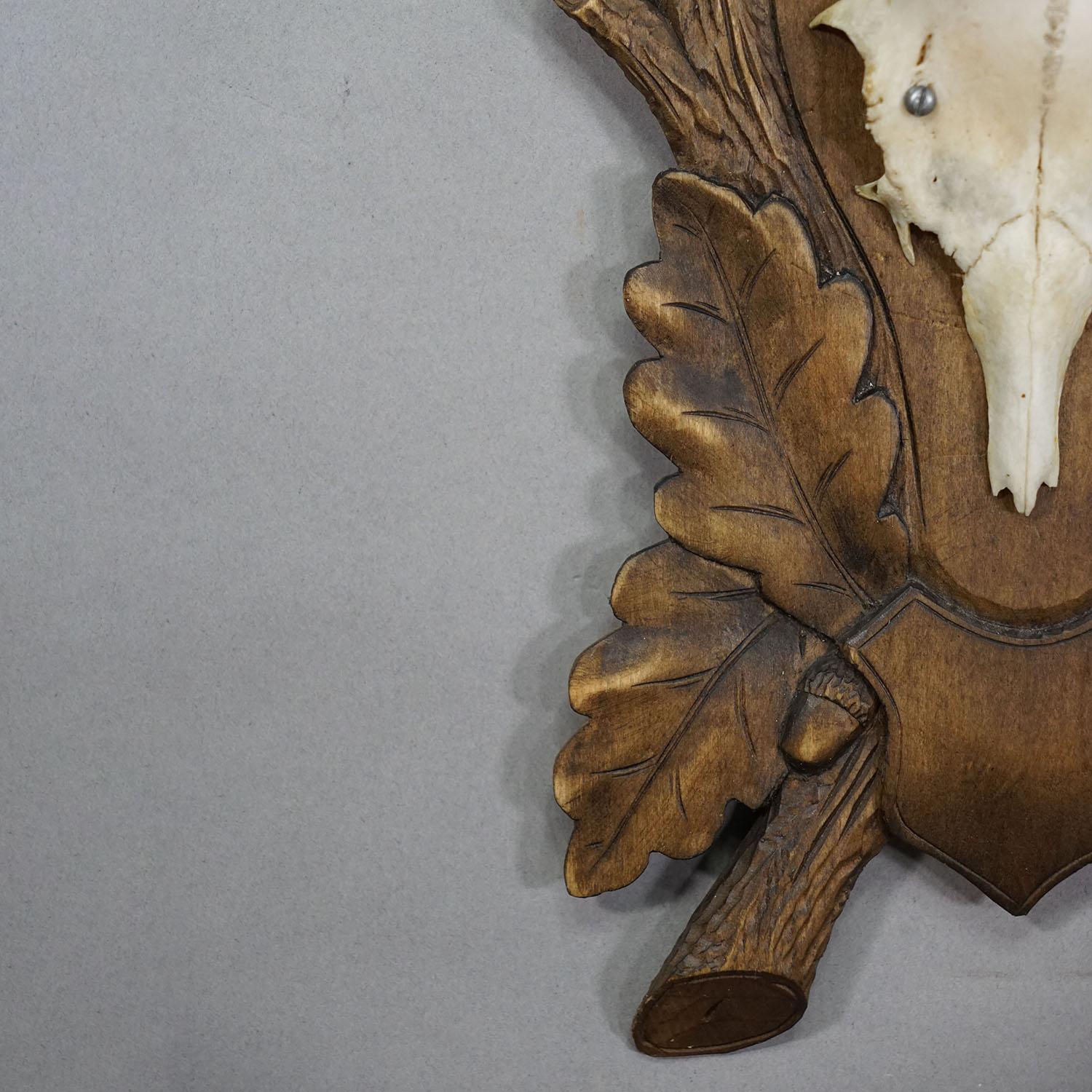 Large Black Forest Deer Trophy on Carved Plaque - Germany circa 1900 For Sale 2