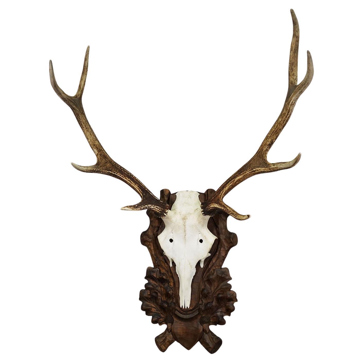 Large Black Forest Deer Trophy on Carved Plaque - Germany circa 1900 For Sale