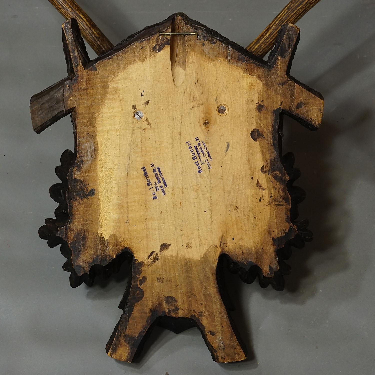 20th Century Large Black Forest Deer Trophy on Wooden Plaque ca. 1910