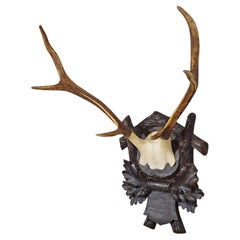 Grand trophée de cerf de Black Forest sur plaque de bois ca. 1910