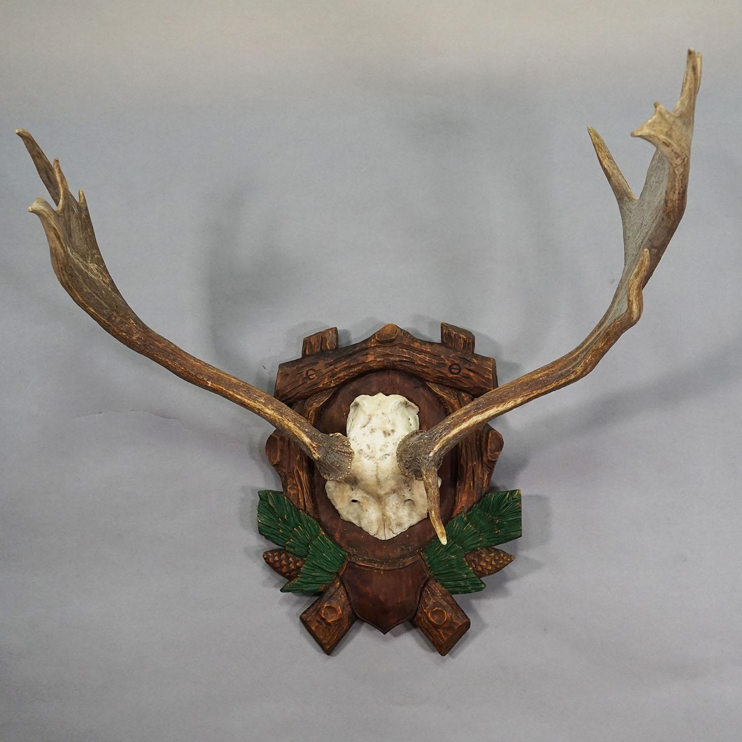 Große Black Forest Damwildtrophäe auf einer geschnitzten Plakette, Deutschland 1940er Jahre

Eine große abnormale Schwarzwälder Damhirsch (Dama dama) Trophäe aus dem Schwarzwald, Deutschland. Der Schädel ist auf einer geschnitzten Plakette mit
