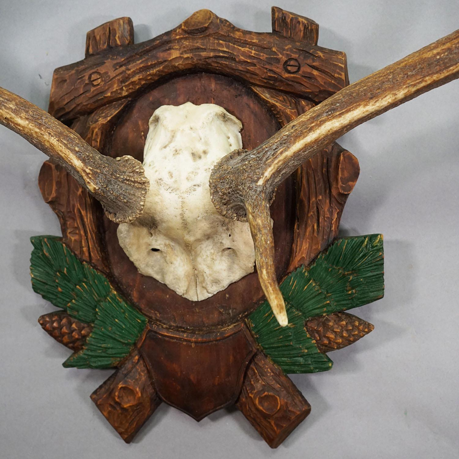 Große Black Forest Damwildtrophäe auf einer geschnitzten Plakette, Deutschland 1940er Jahre im Zustand „Gut“ im Angebot in Berghuelen, DE