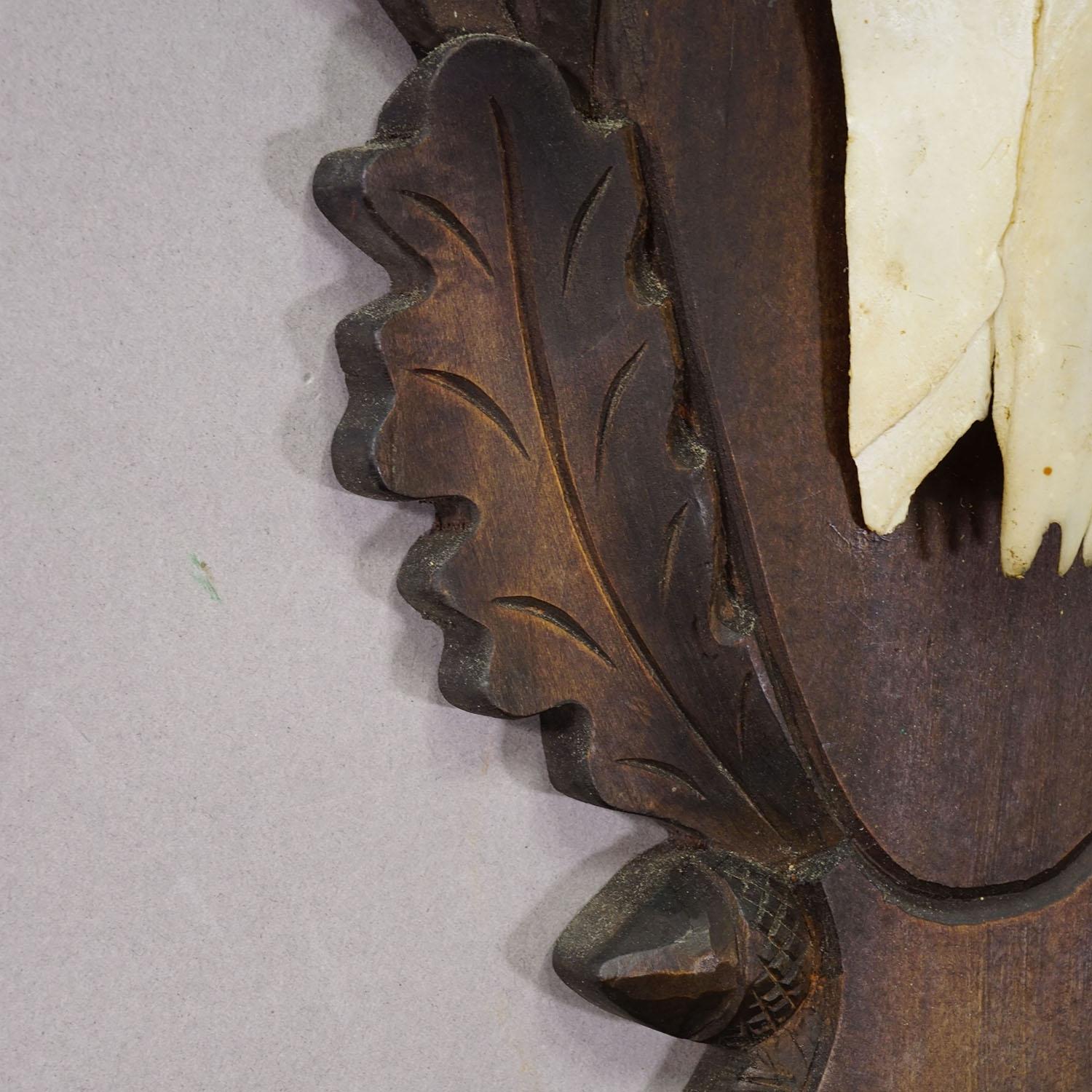 Große Black Forest Rotwildtrophäe auf geschnitzter Plakette - Deutschland 1930 (Geweih) im Angebot