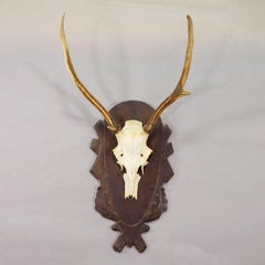 Large Black Forest Red Deer Trophy on Carved Plaque - Germany ca. 1935