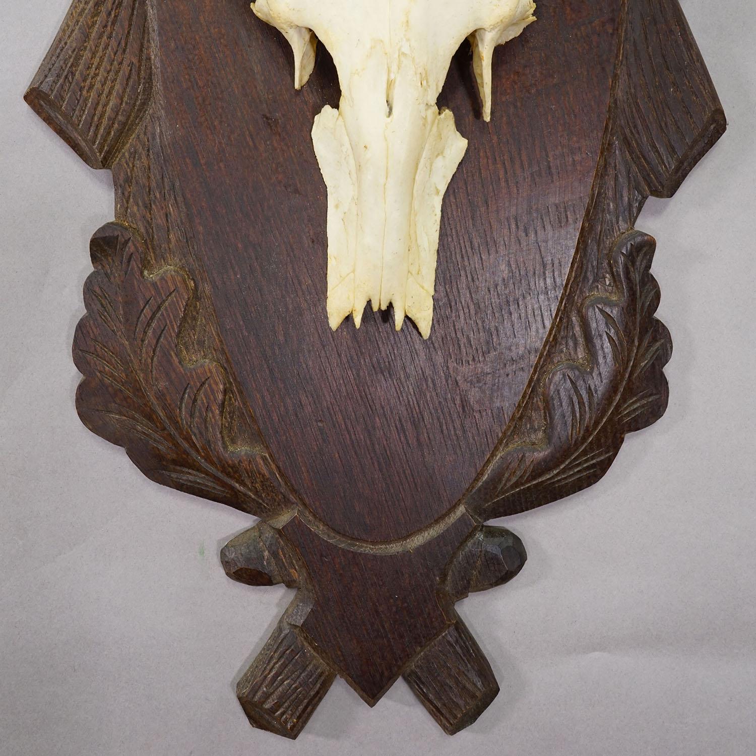 Milieu du XXe siècle Grand trophée de cerf rouge de Black Forest sur plaque sculptée - Allemagne vers 1935 en vente