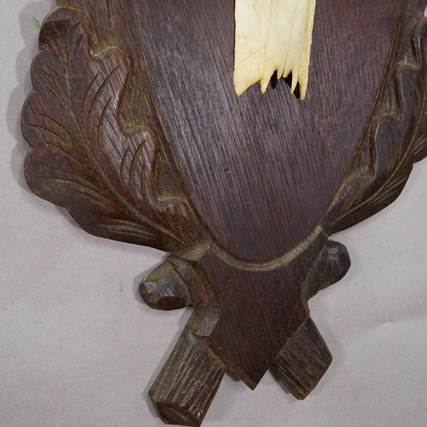 Bois cerf Grand trophée de cerf rouge de Black Forest sur plaque sculptée - Allemagne vers 1935 en vente