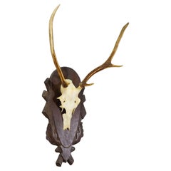 Vintage Large Black Forest Red Deer Trophy on Carved Plaque - Germany ca. 1935