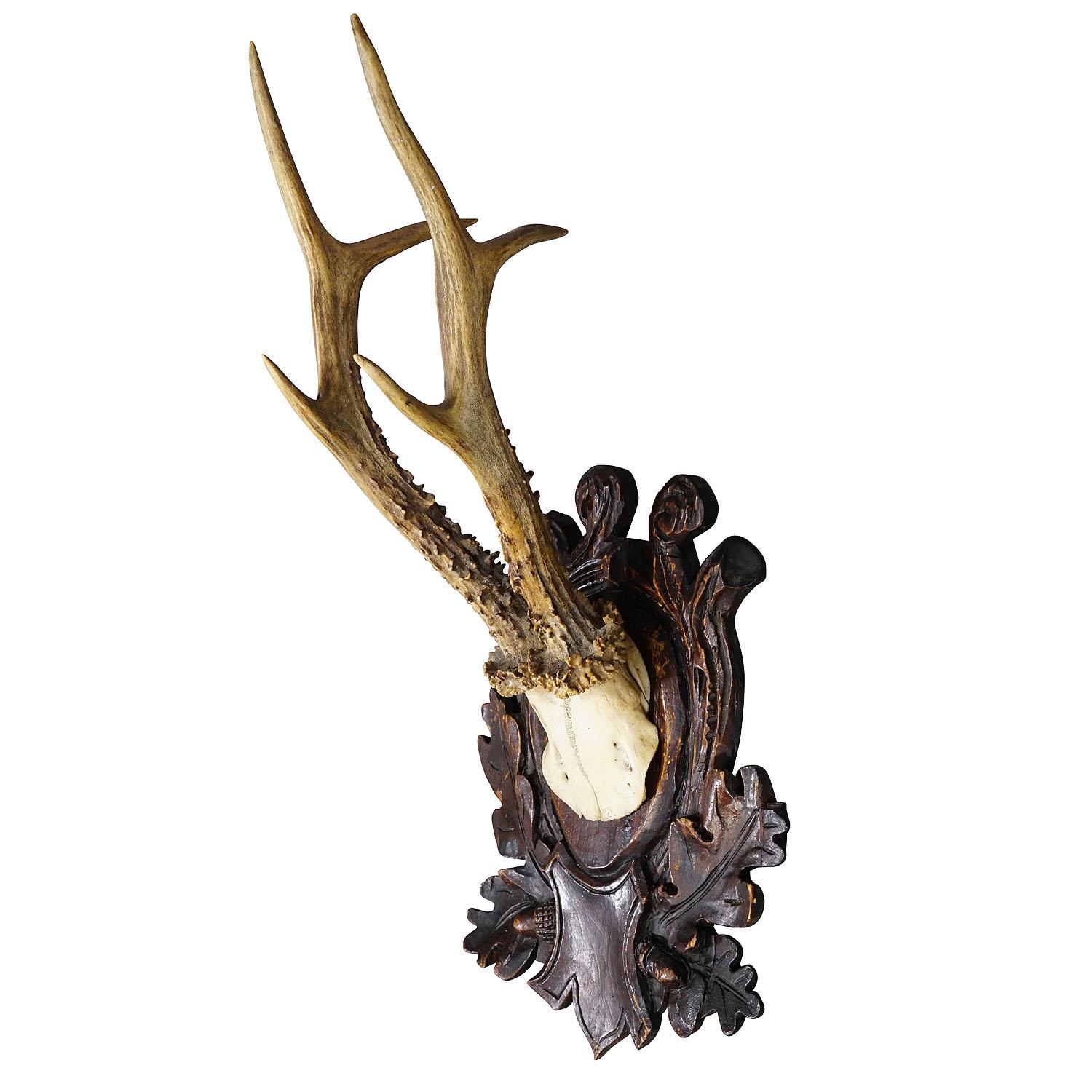 Large Black Forest Roe Deer Trophy on Carved Plaque

A great antique roe deer (Capreolus capreolus) trophy on a wooden carved plaque. The trophy was shot around 1930. A great fit to your rustic cabin decoration. Plaque with old repairs - see