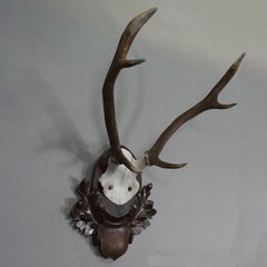 Large Black Forest Stag Trophy on Carved Plaque - Germany 1900s