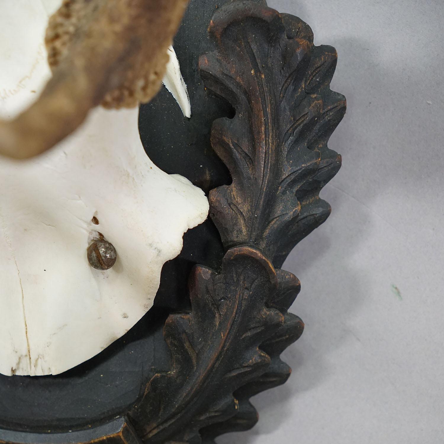 Große Black Forest Hirsch Trophäe auf geschnitzter Plakette - Deutschland 1930s (Geweih) im Angebot