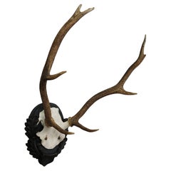 Decorative Art