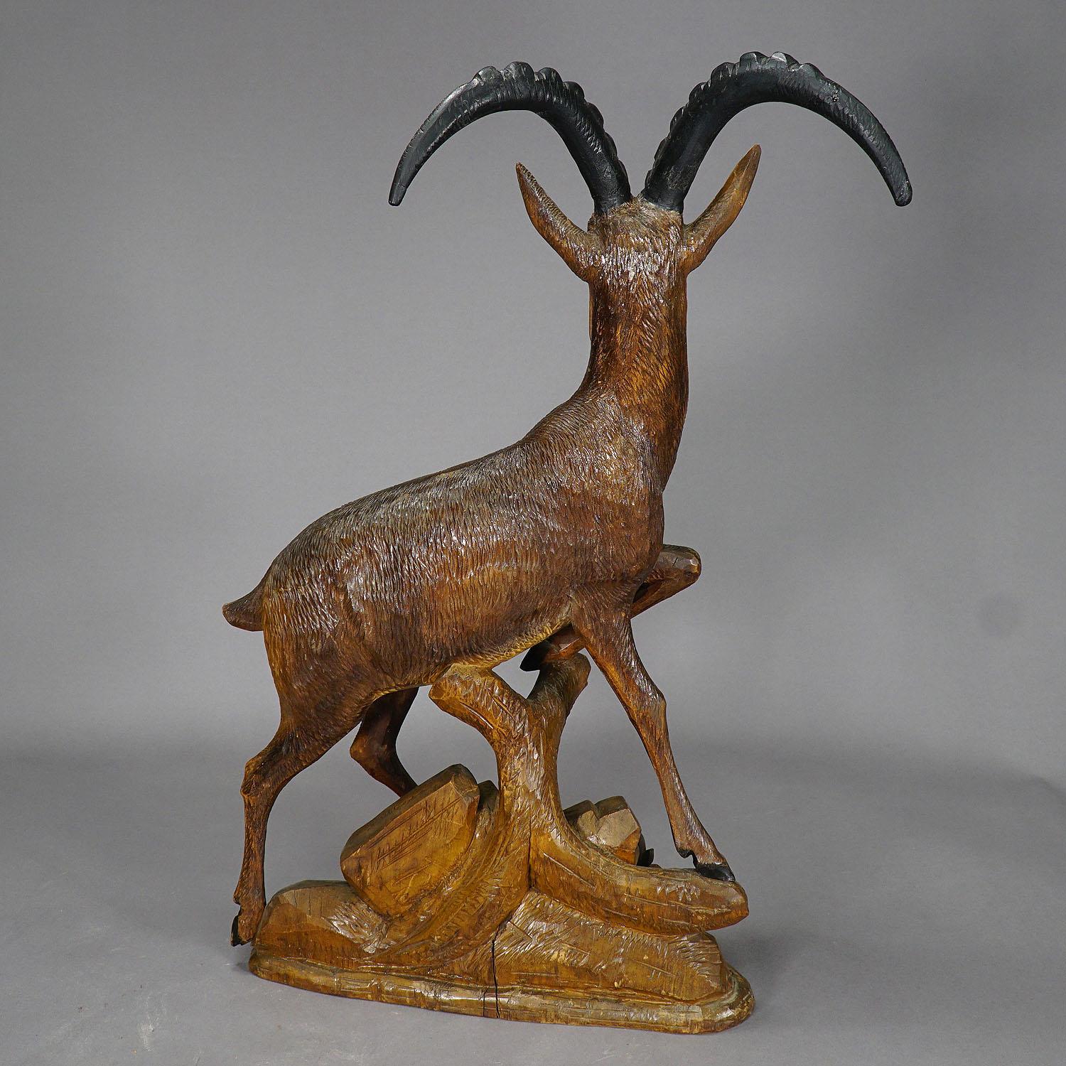 Carved Large Black Forest Woodcarving Ibex Sculpture, Austria, circa 1920 For Sale