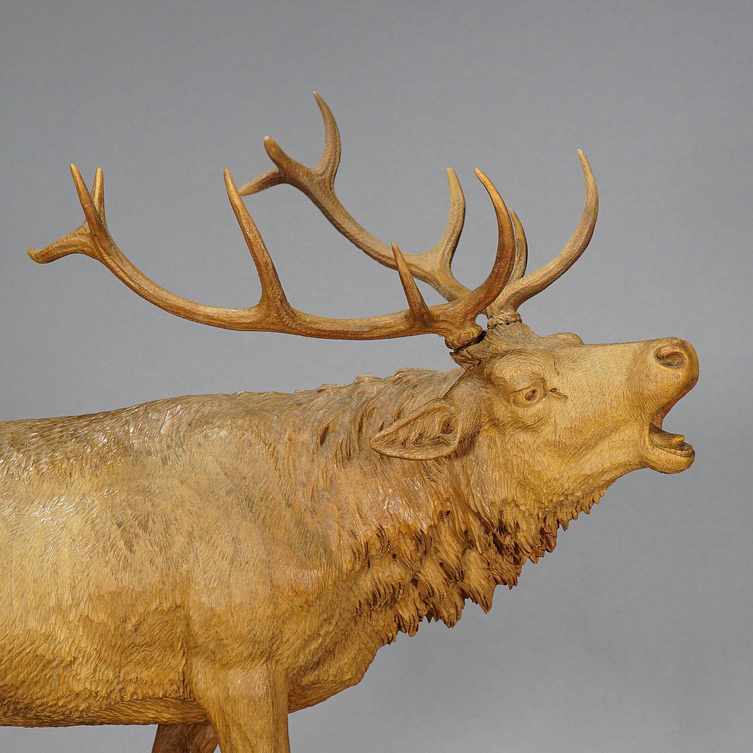 An antique early 20th century wooden carved sculpture of a belling stag. Handcarved in lindenwood with naturalistic details - most probably in Austria around 1920. This large black forest style carved sculpture would be a stunning addition to any