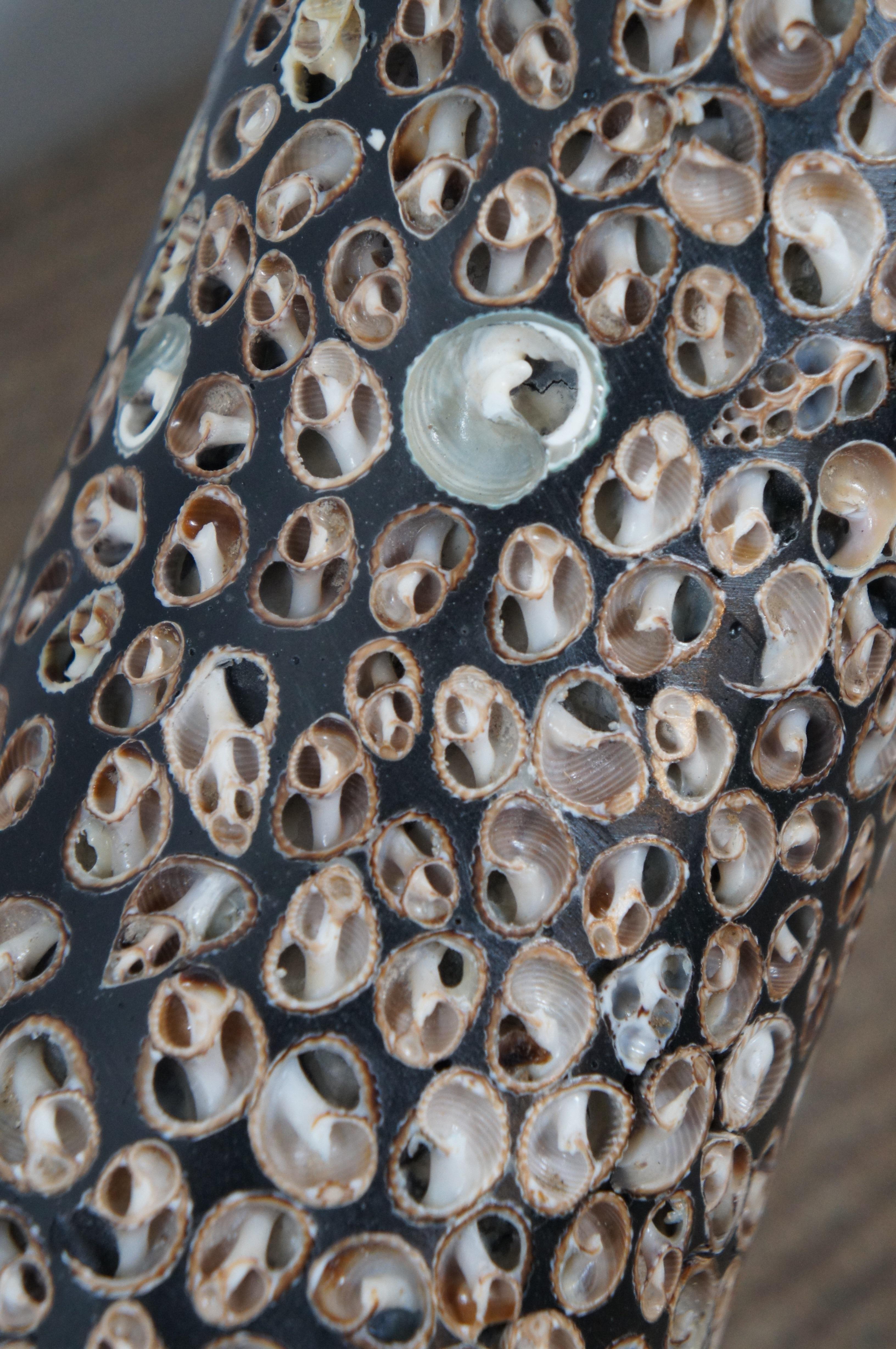Vaso da terra grande in lacca nera con conchiglia di mare incastonata, corallo delle Filippine 45