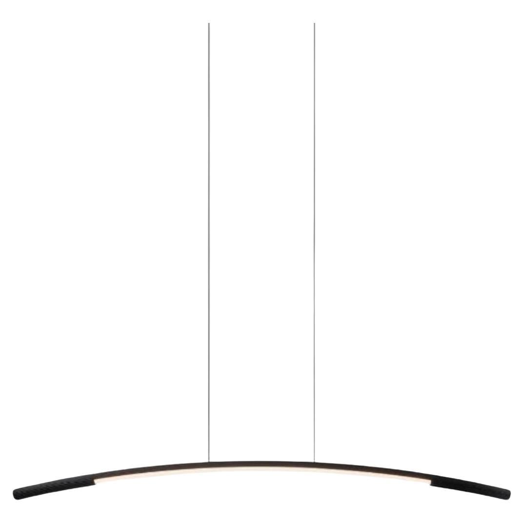 Large Black Palo Pendant Lamp by Wentz For Sale