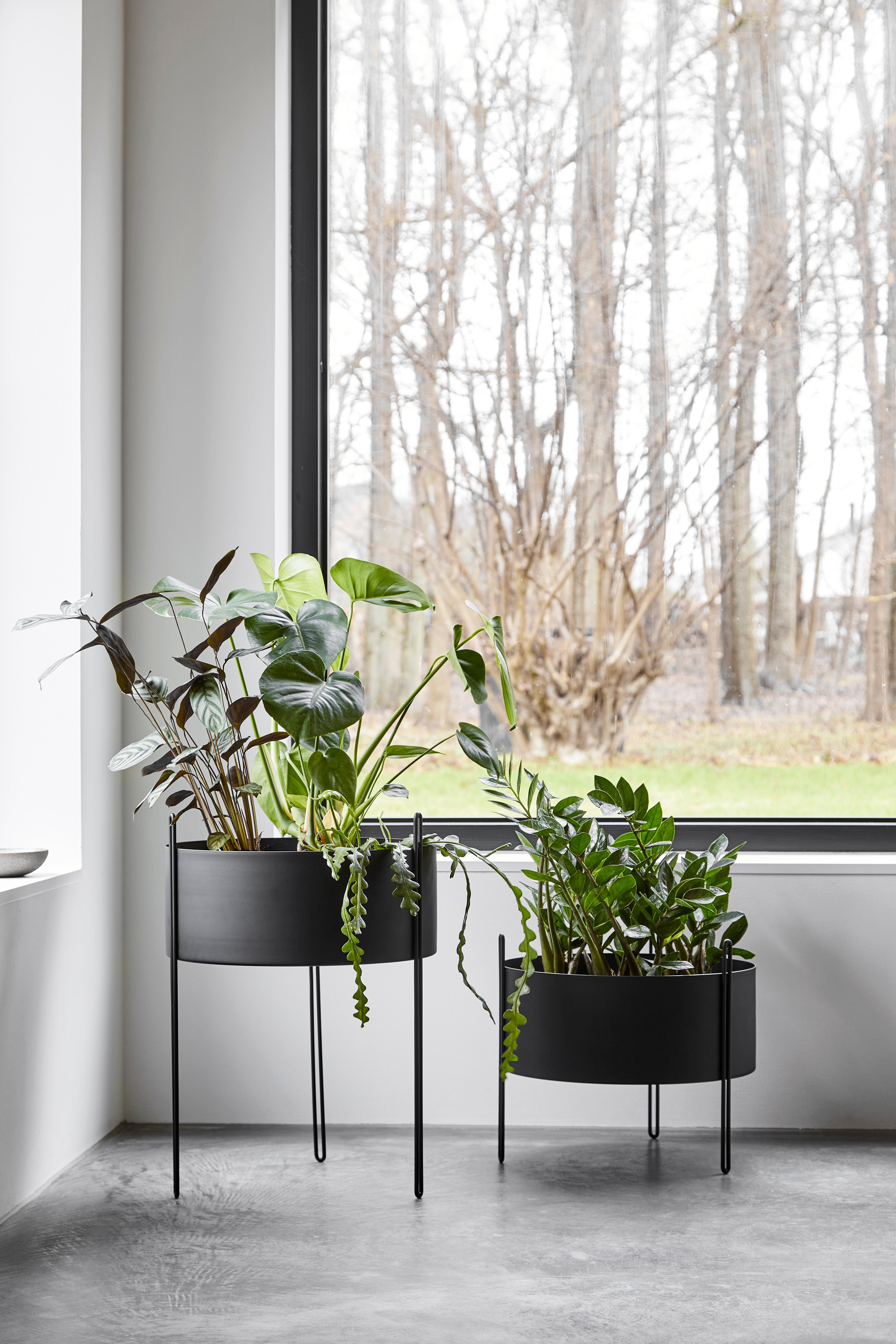 large black metal planter