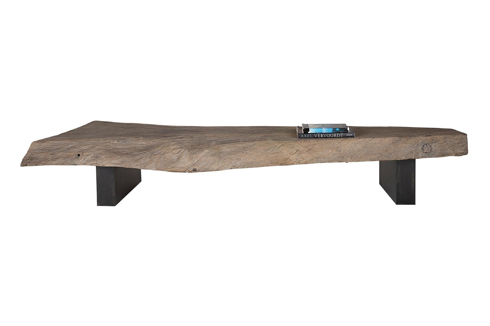 Organic Modern Large Bleach Teak Slab Coffee table on Metal Base For Sale