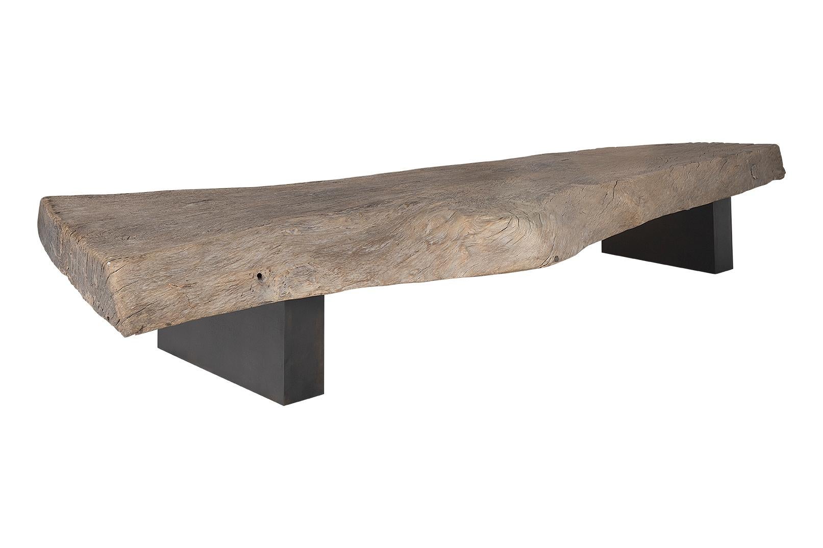 Large Bleach Teak Slab Coffee table on Metal Base In Good Condition For Sale In Dallas, TX