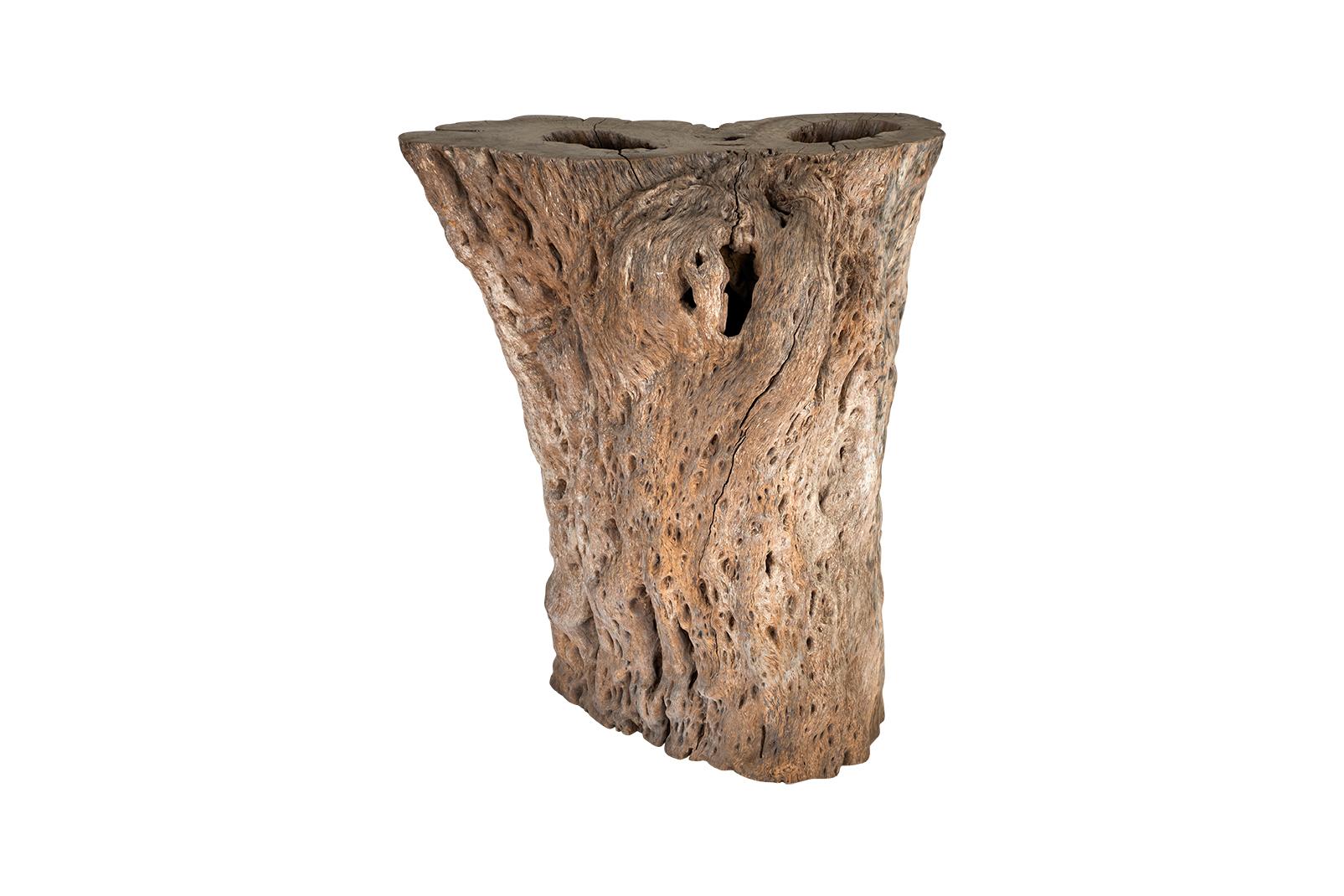 Organic Modern Large Bleached Lychee Wood Console Base For Sale