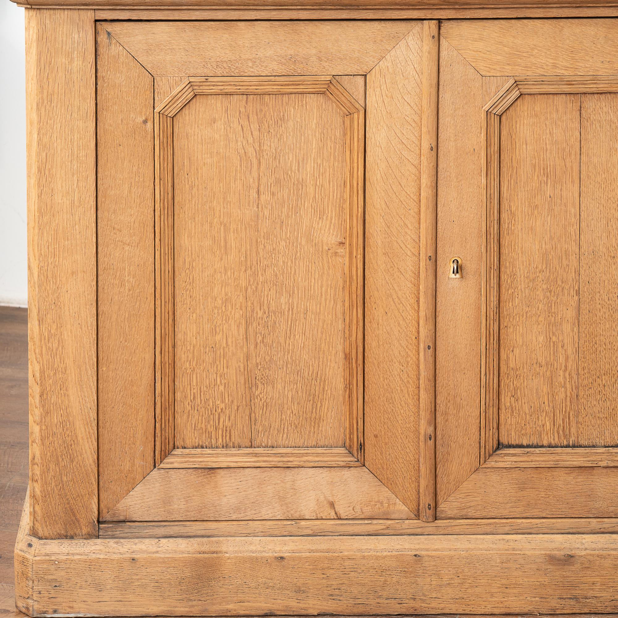 Large Bleached Oak Bookcase With Adjustable Shelves, France circa 1900-20 3