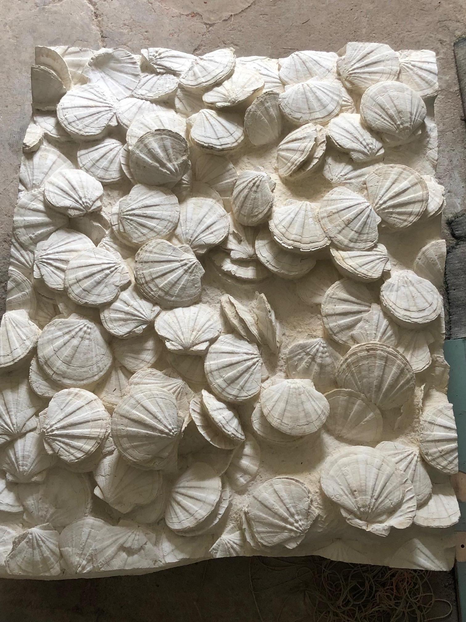 Rare block of well-preserved prehistoric scallops in matrix (limestone).
Gigantopecten restitutensis Fossil
Source: Lacoste, France 
Miocene, c. 20 million years 

Object dimensions: 135 x 110 x 20 cm 
Weight:  approximate 350 kg 

The door to door
