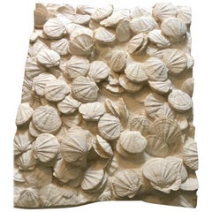 Large Block of Pecten Fossils in Limestone, France, Miocene Era