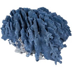 Large Blue Coral