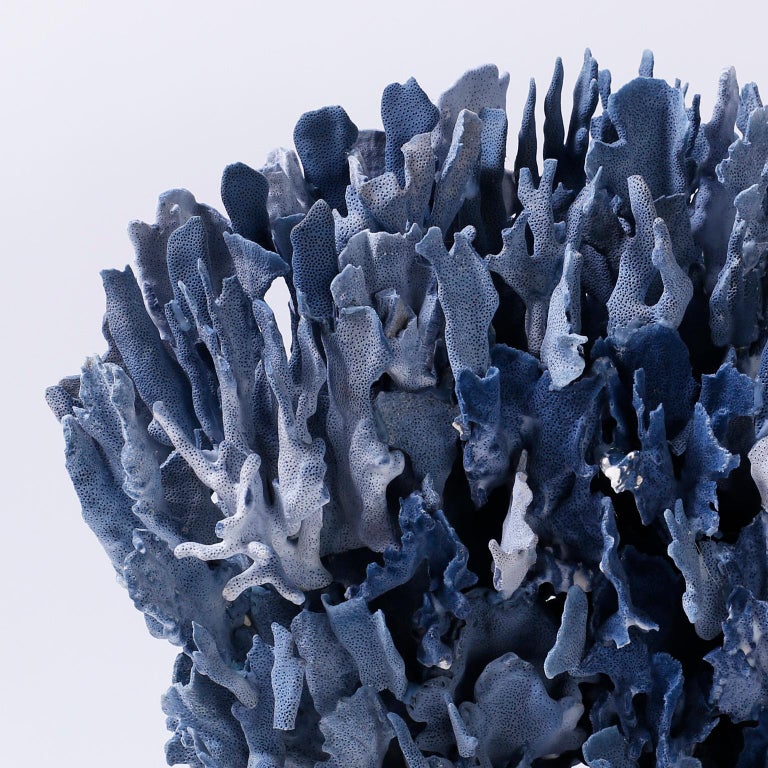 Large Blue Coral Sculpture Mounted on Lucite at 1stDibs