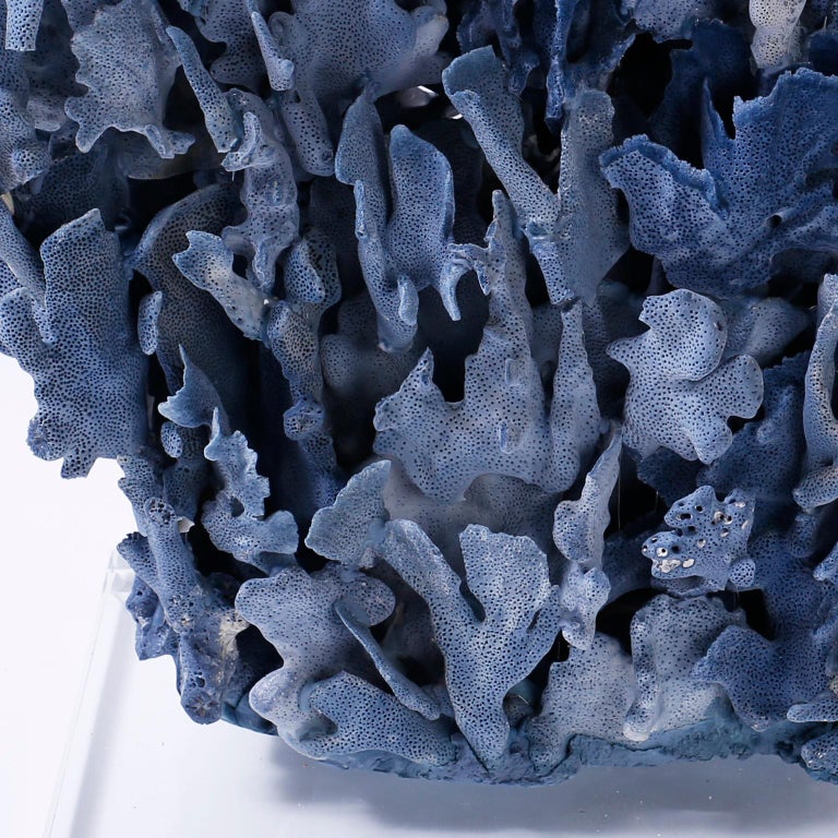 Large Blue Coral Sculpture Mounted on Lucite at 1stDibs