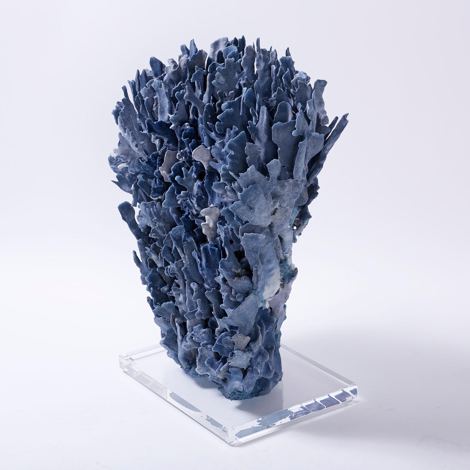 Large Blue Coral Sculpture Mounted on Lucite In Good Condition In Palm Beach, FL